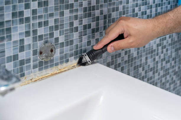 Best Toxic Mold Removal  in Kings Grant, NC